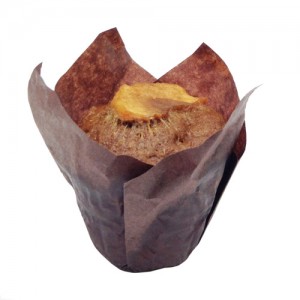 Coconut-Sugar-Sweetened-Apple-(September-2014)
